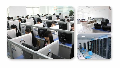 計算機軟硬件視角下的學科分野 計算機科學與技術、軟件工程、網絡工程